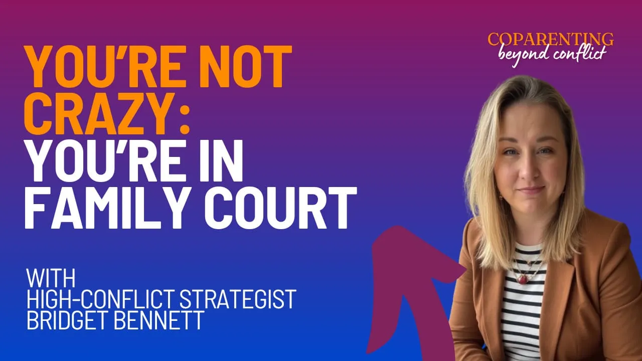 Facing Family Court with Bridget Bennett: How to Stay Calm, Document Smart