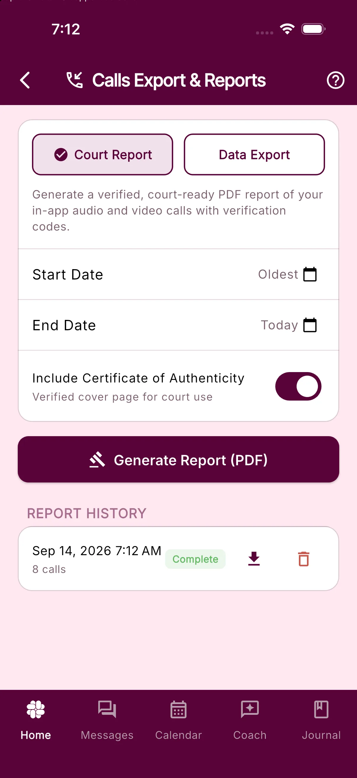 Calls Export and Reports with Court Report selected and the report options visible