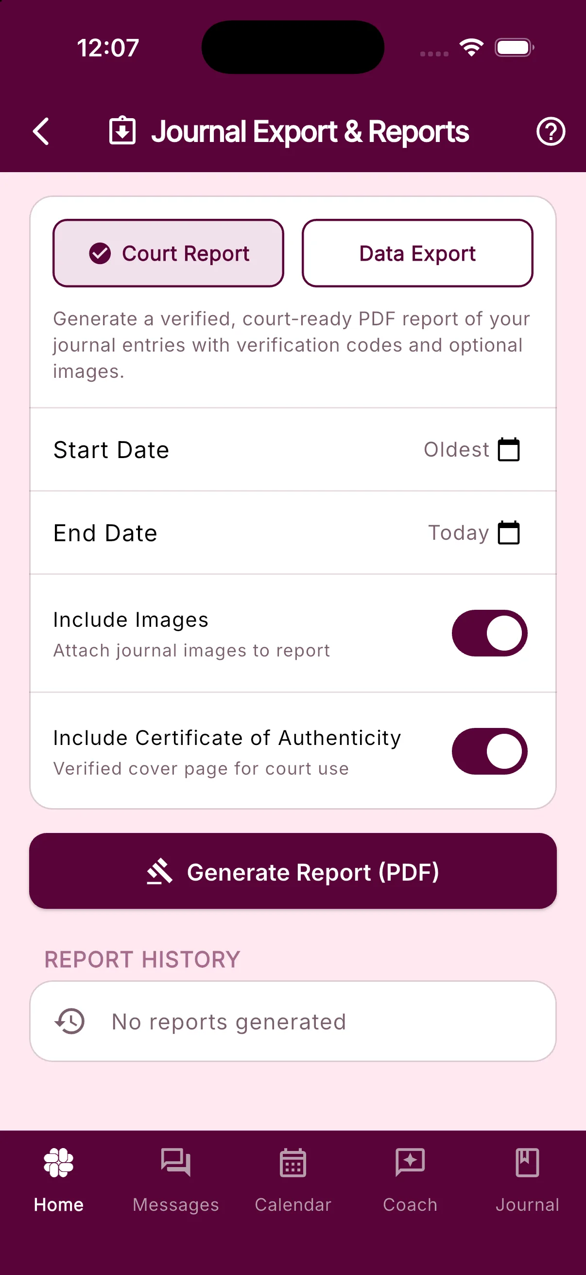 Journal Export & Reports with Court Report selected, date options, report switches, and the Generate Report button