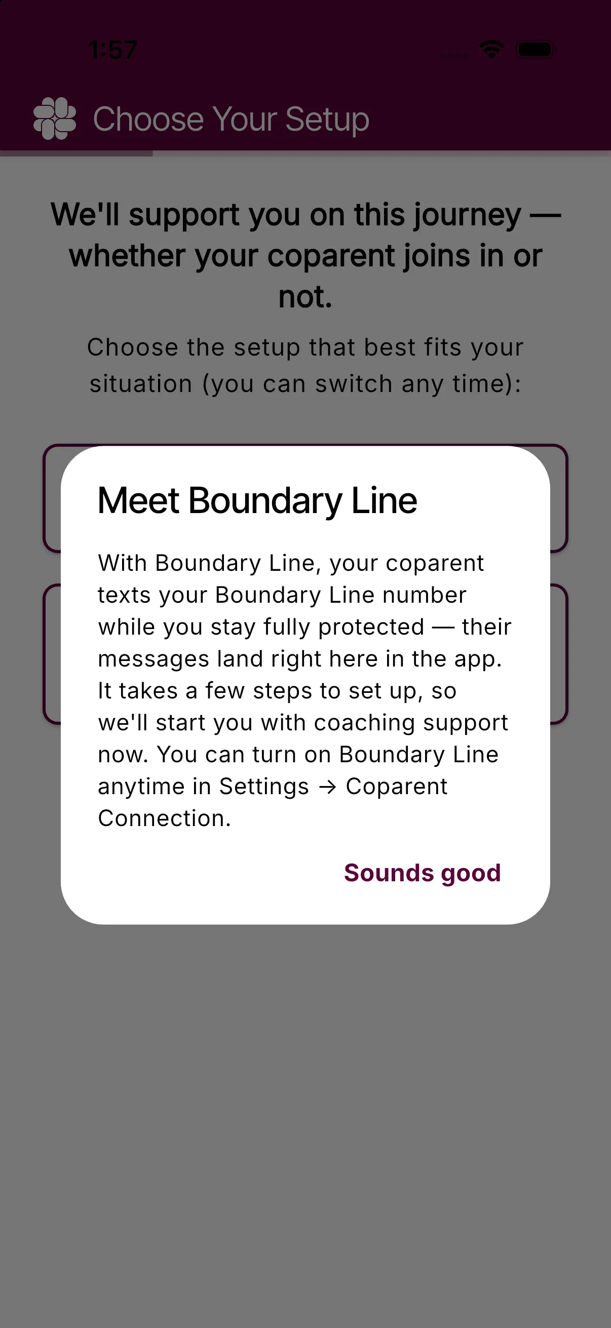 The Meet Boundary Line note explaining that Boundary Line can be turned on later in Coparent Connection settings