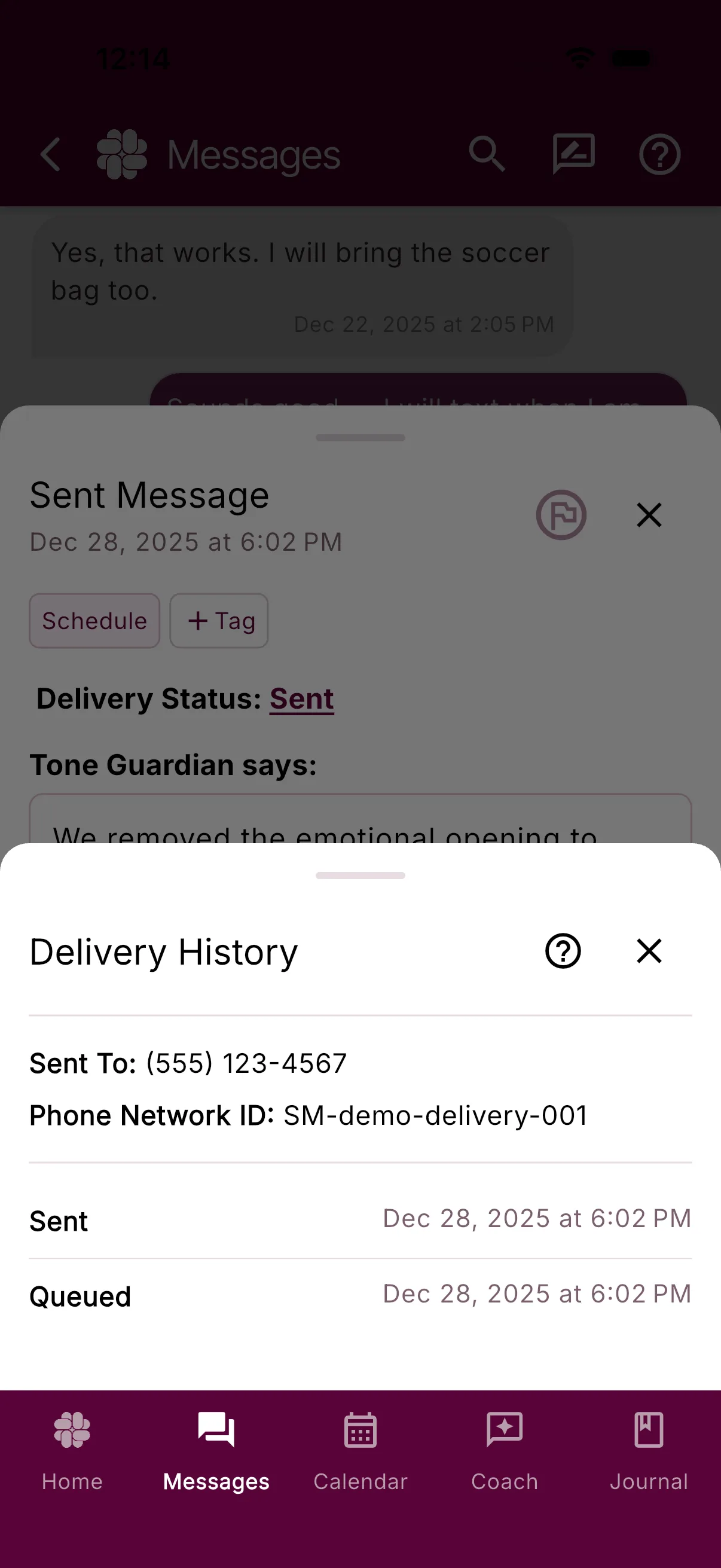 The Delivery History sheet with destination, network ID, Queued, and Sent updates