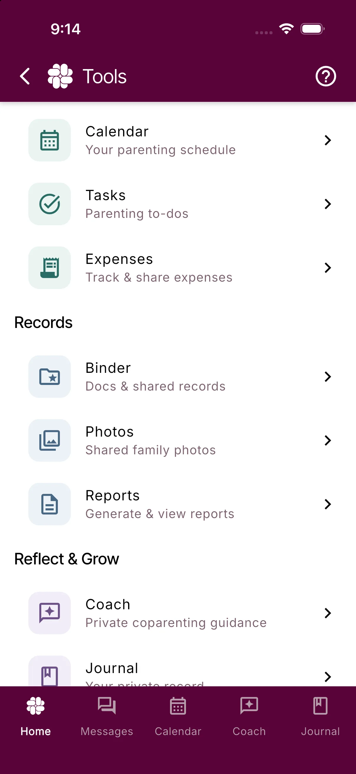 The Records group of More Tools with the Binder, Photos, and Reports tiles